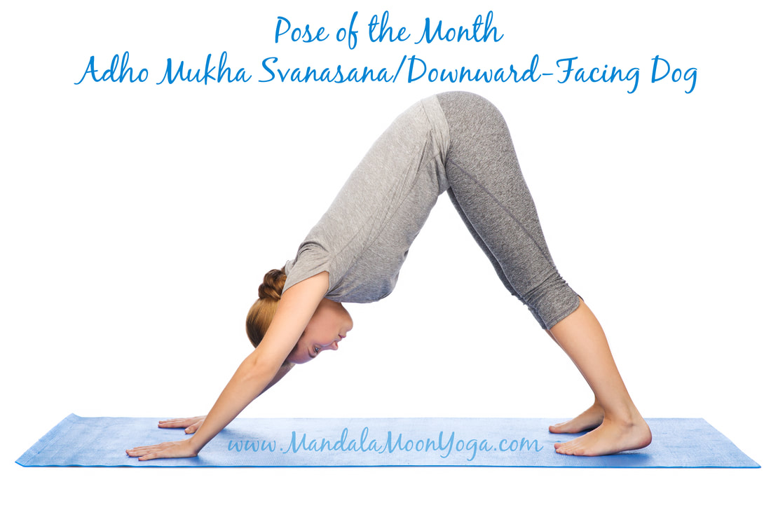 Sphinx Pose: The Heart-Forward Back Bend for More Flexibility | The Art of  Living